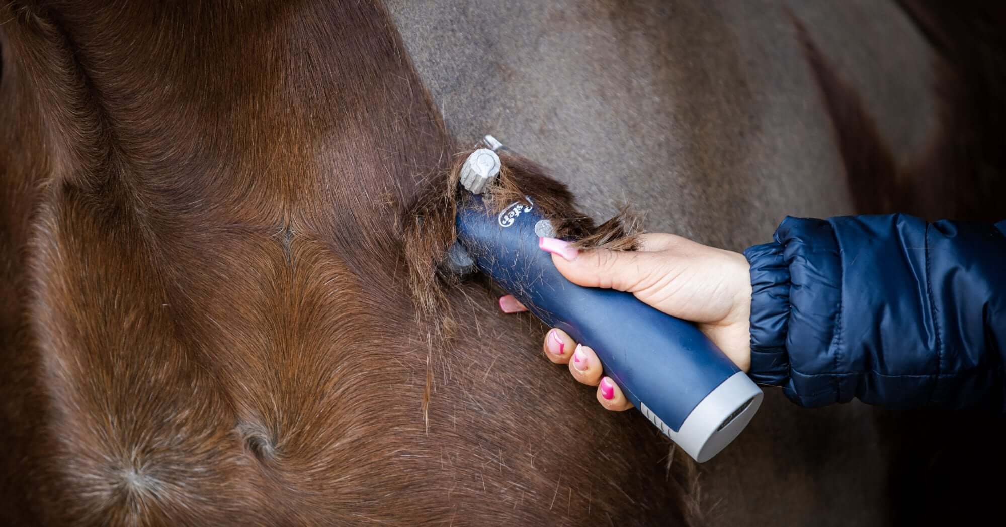 The Best Re-Chargeable Cordless Horse Clippers | Clipper Buying