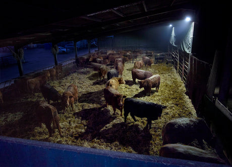 Agricultural Indoor or Outdoor Yards