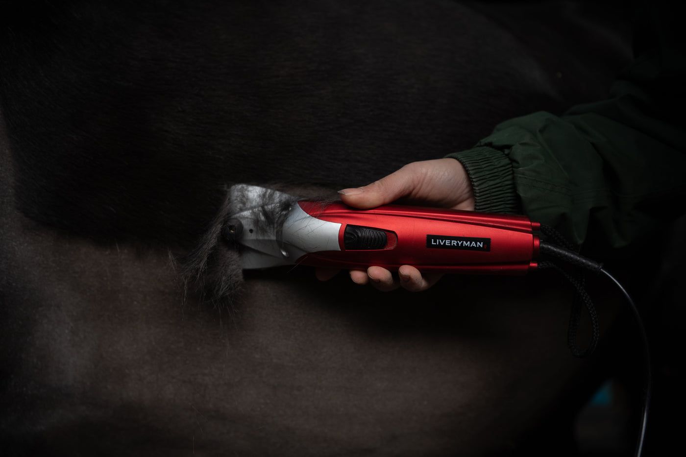 the side of a horse being clipped