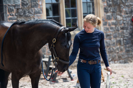 First Time Horse Clipper Buyers