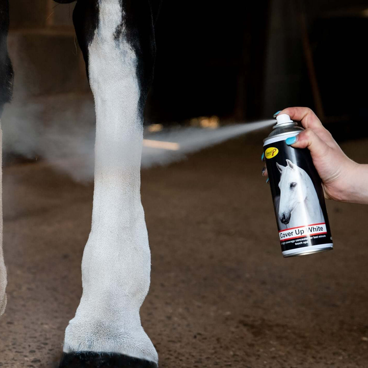 Spray de couverture pour toilettage intelligent