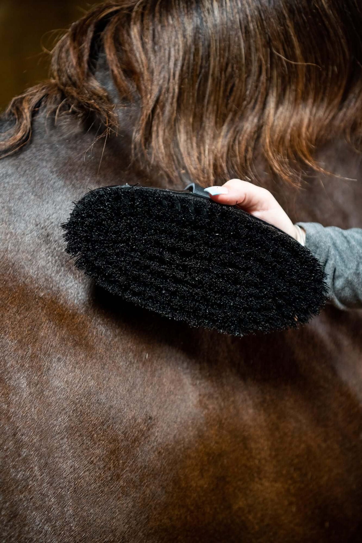 Pinceau diamant Wurzel HAAS