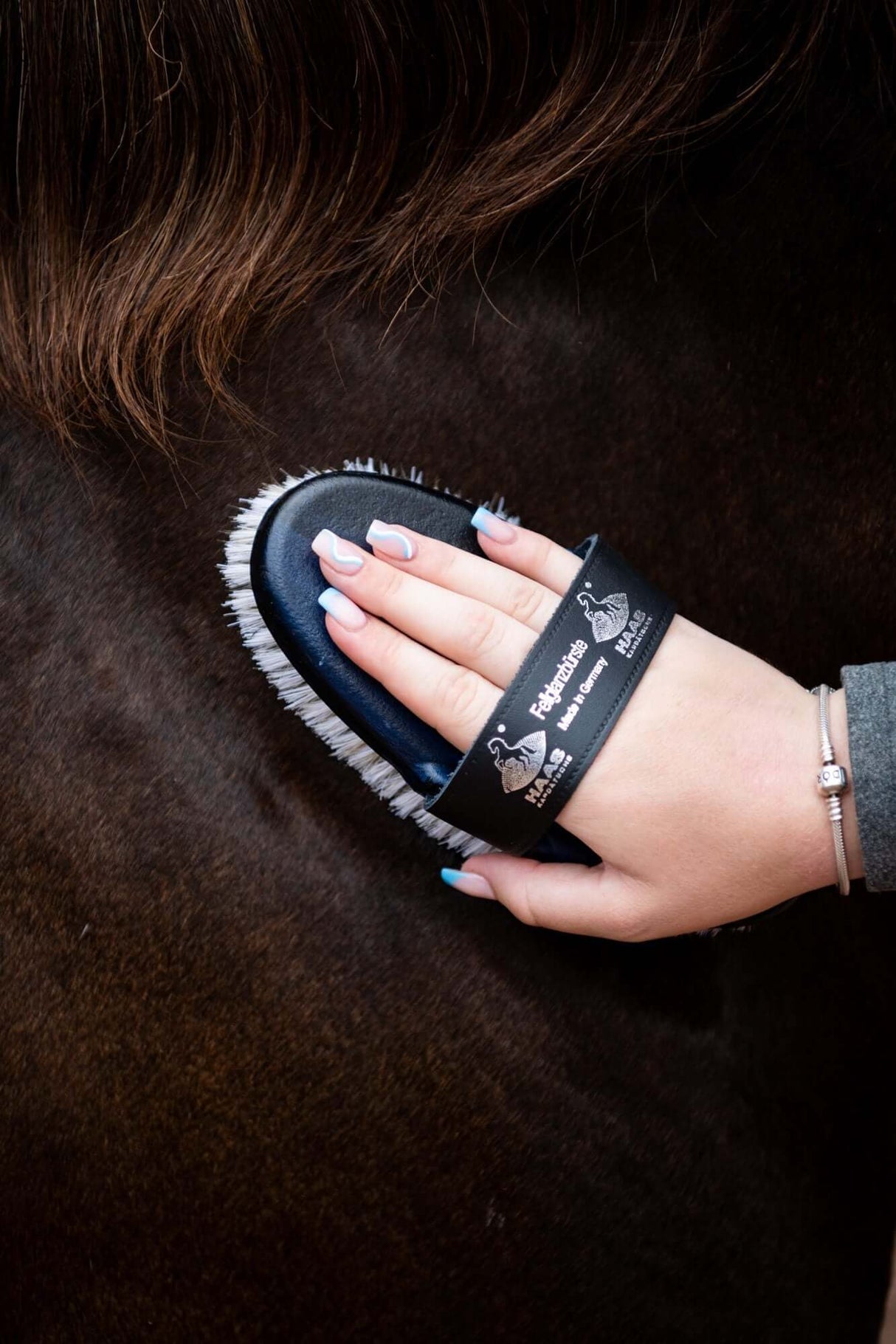 HAAS Fellglanzburste