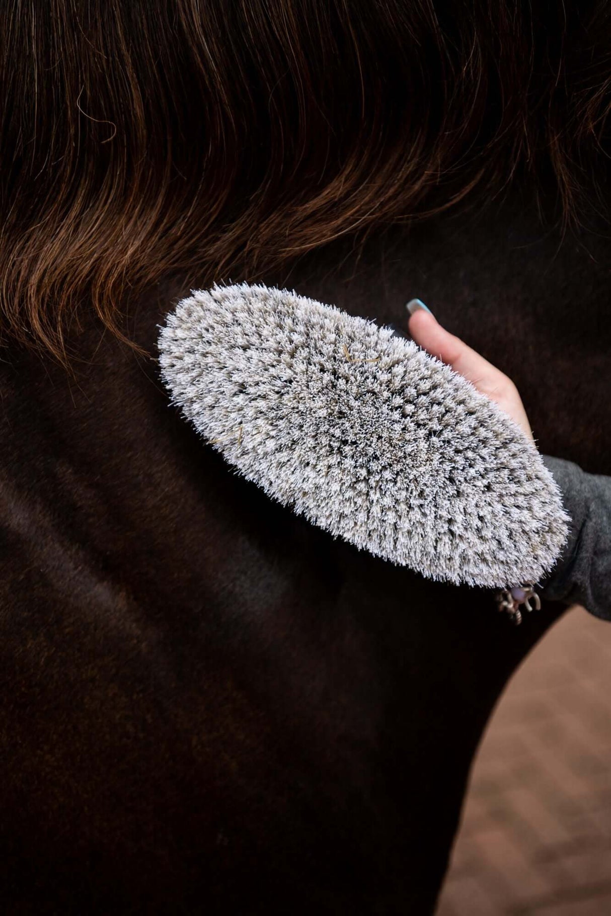 HAAS Fellglanzburste