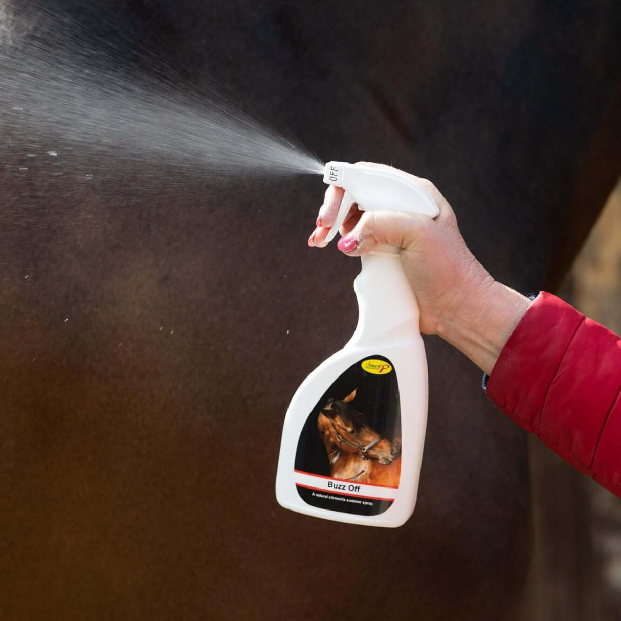 Spray d'été Buzz Off Smart Grooming