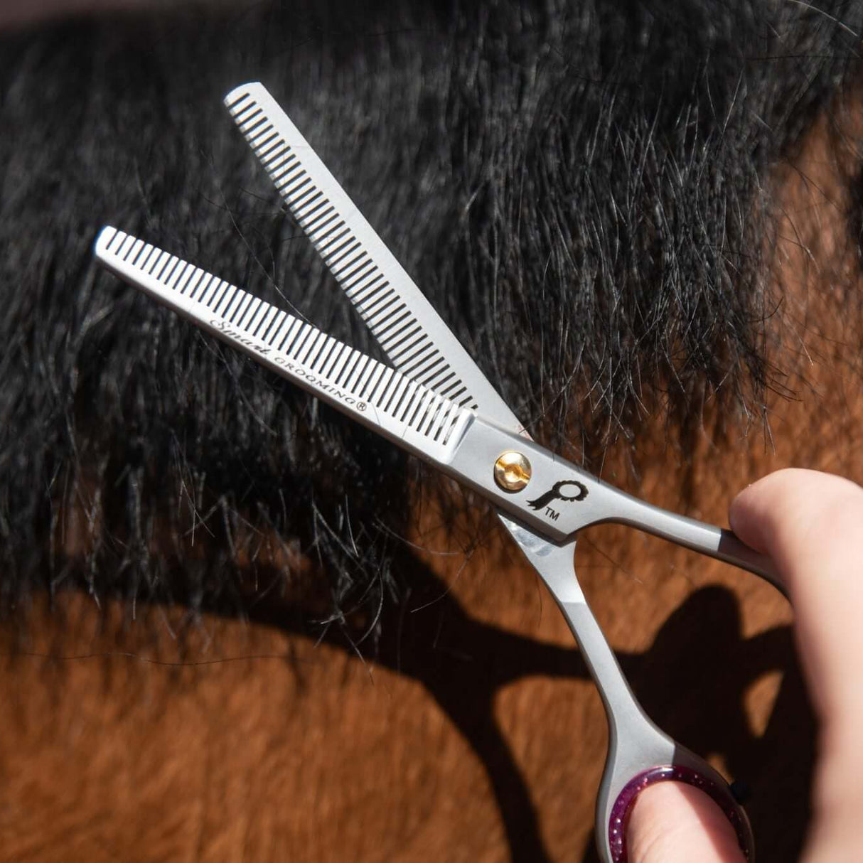 Smart Grooming 6'' Double Leg Thinning Scissor
