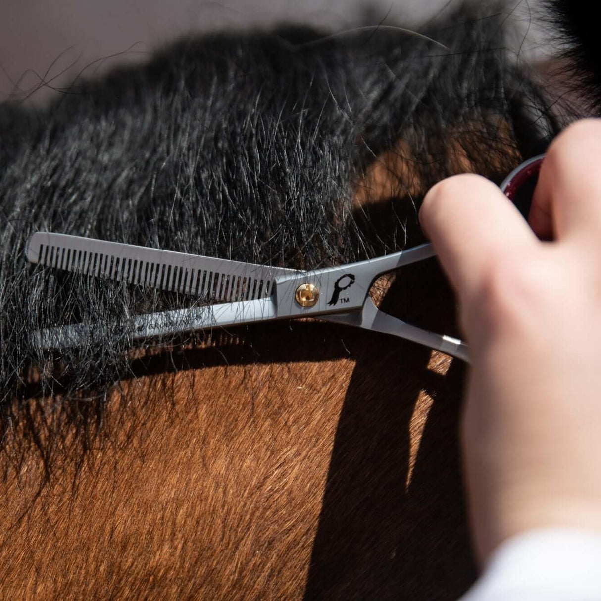 Smart Grooming 6'' Single Leg Thinning Scissor