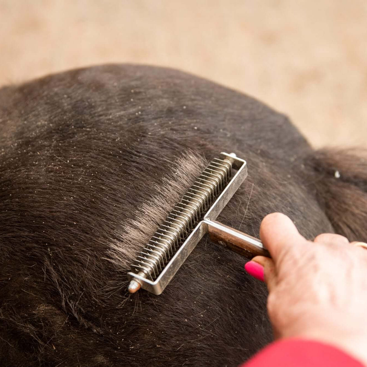 Smart Grooming Smart Coats Diluant