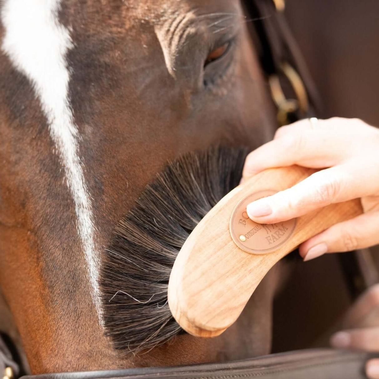 Borstiq Bananen-Finishing-Pinsel