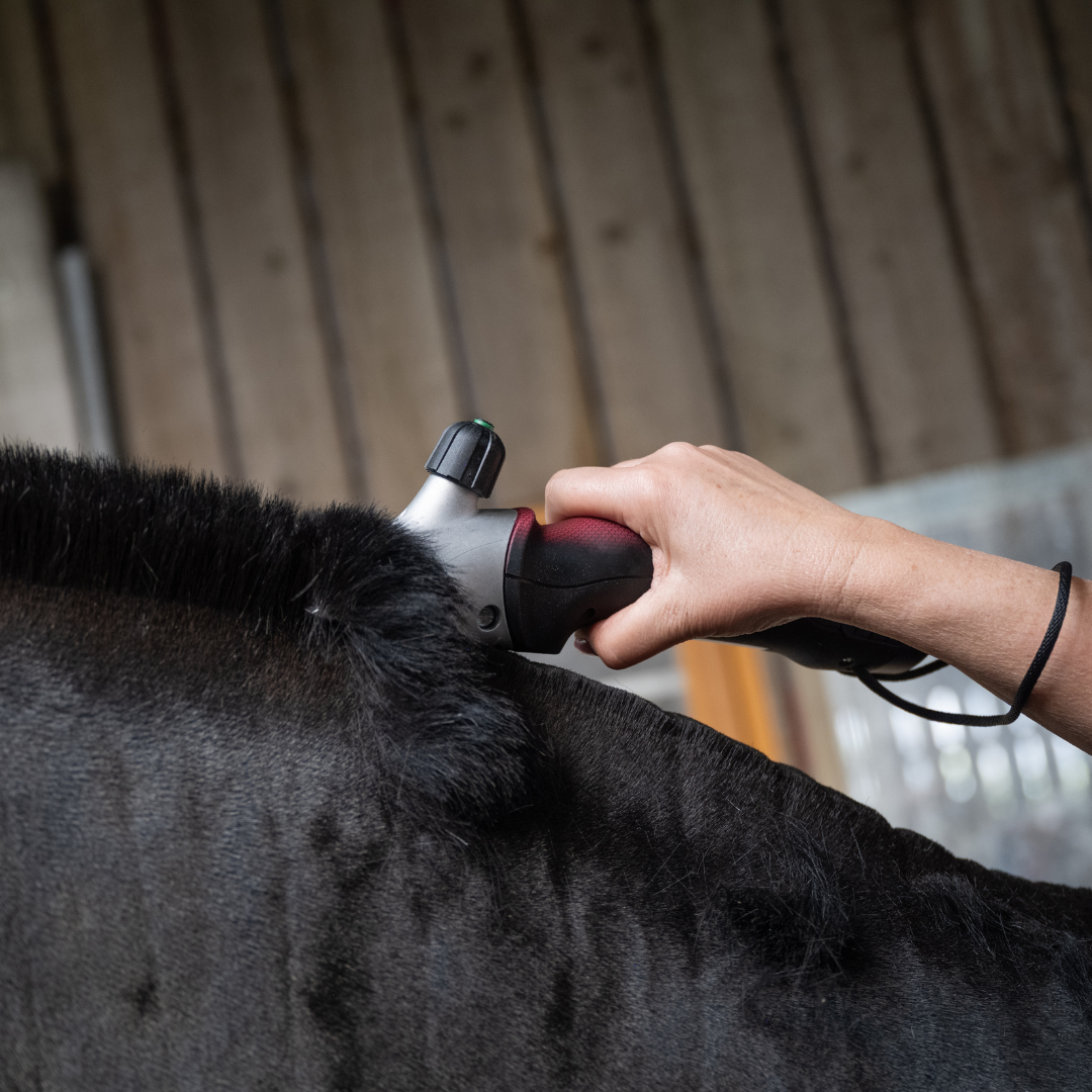 Heiniger Xplorer Pro Clipper