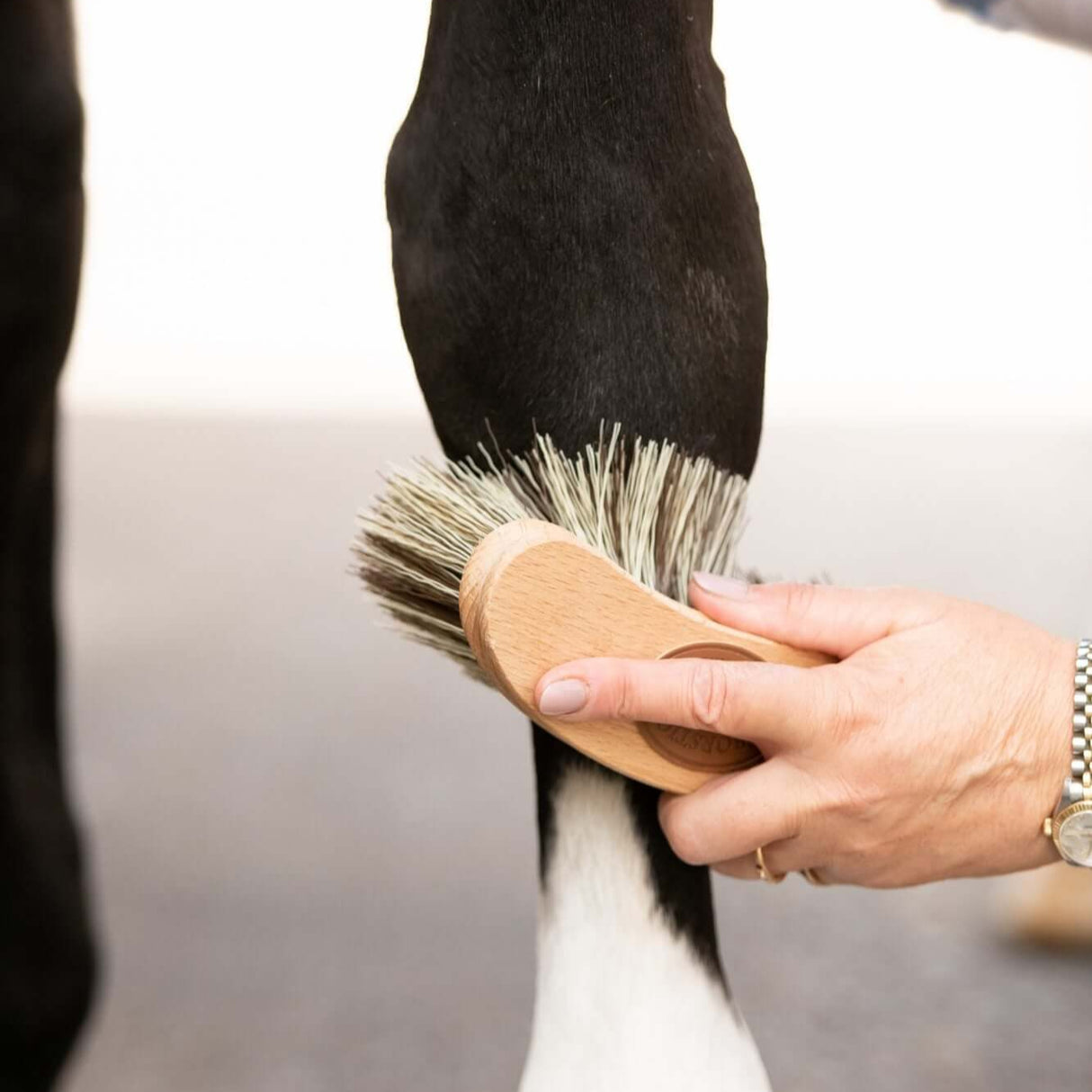 Borstiq Pinceau Banane Moyen