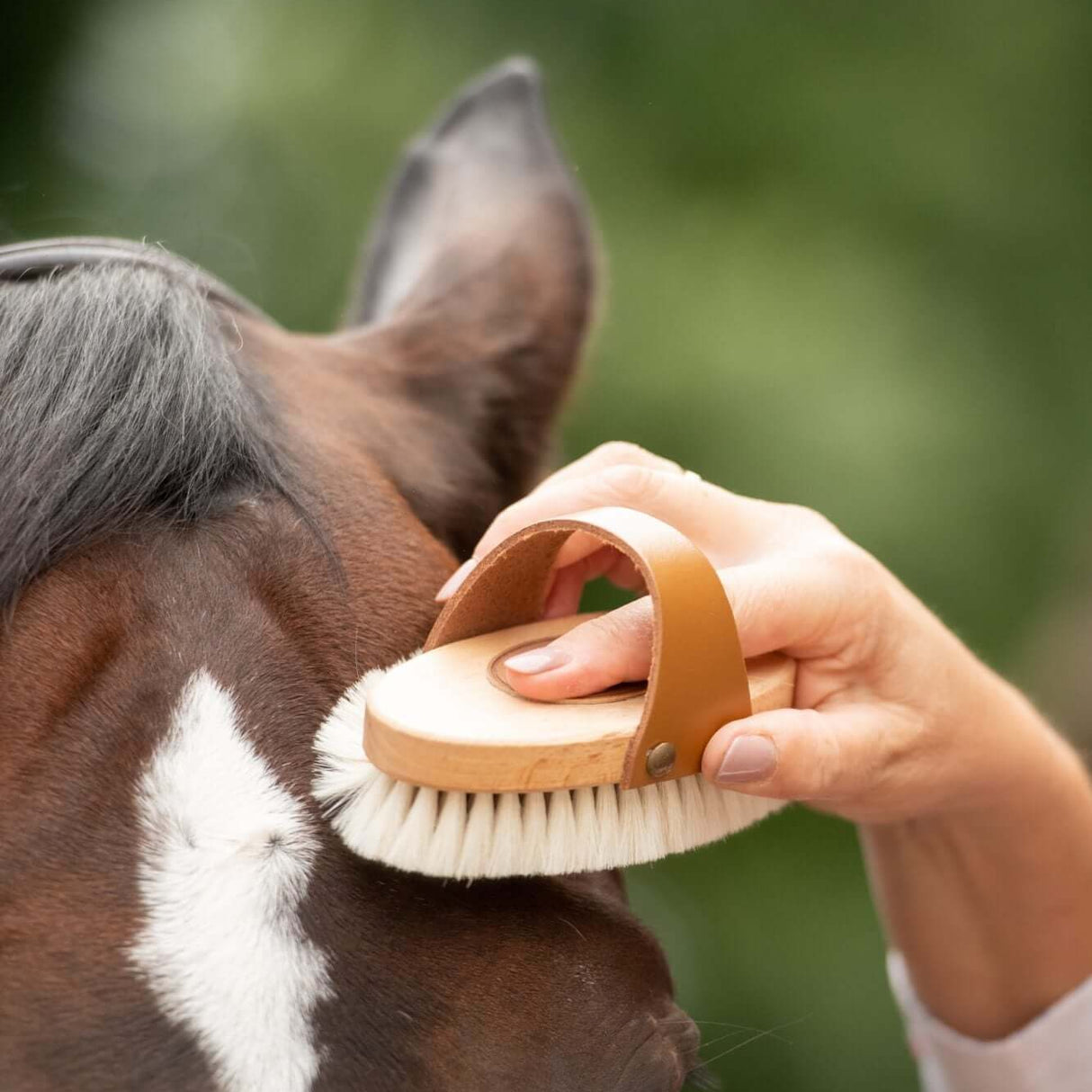 Borstiq Goat Hair Brush