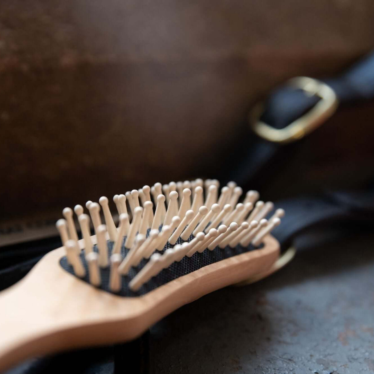 Borstiq Mane and Tail Brushes