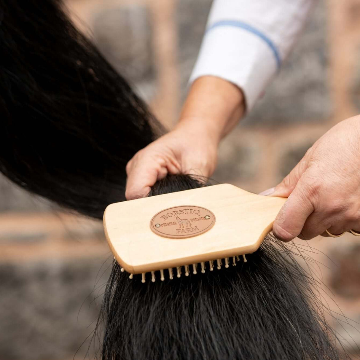 Borstiq Mane and Tail Brushes