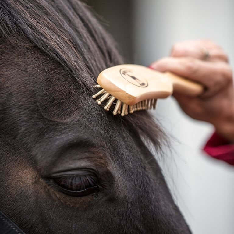 Borstiq Mane and Tail Brushes