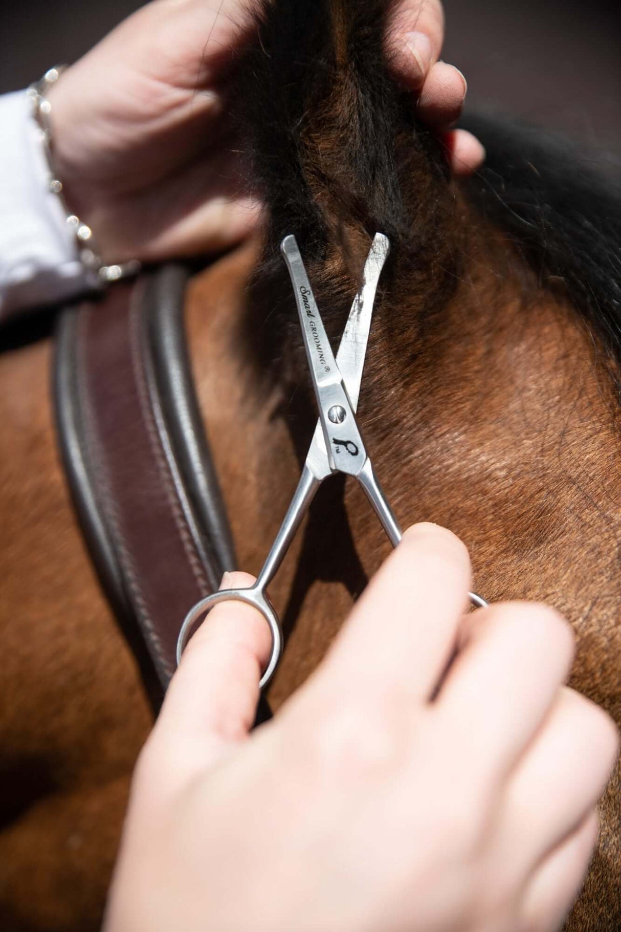 Smart Grooming 4.5'' Safety Scissor