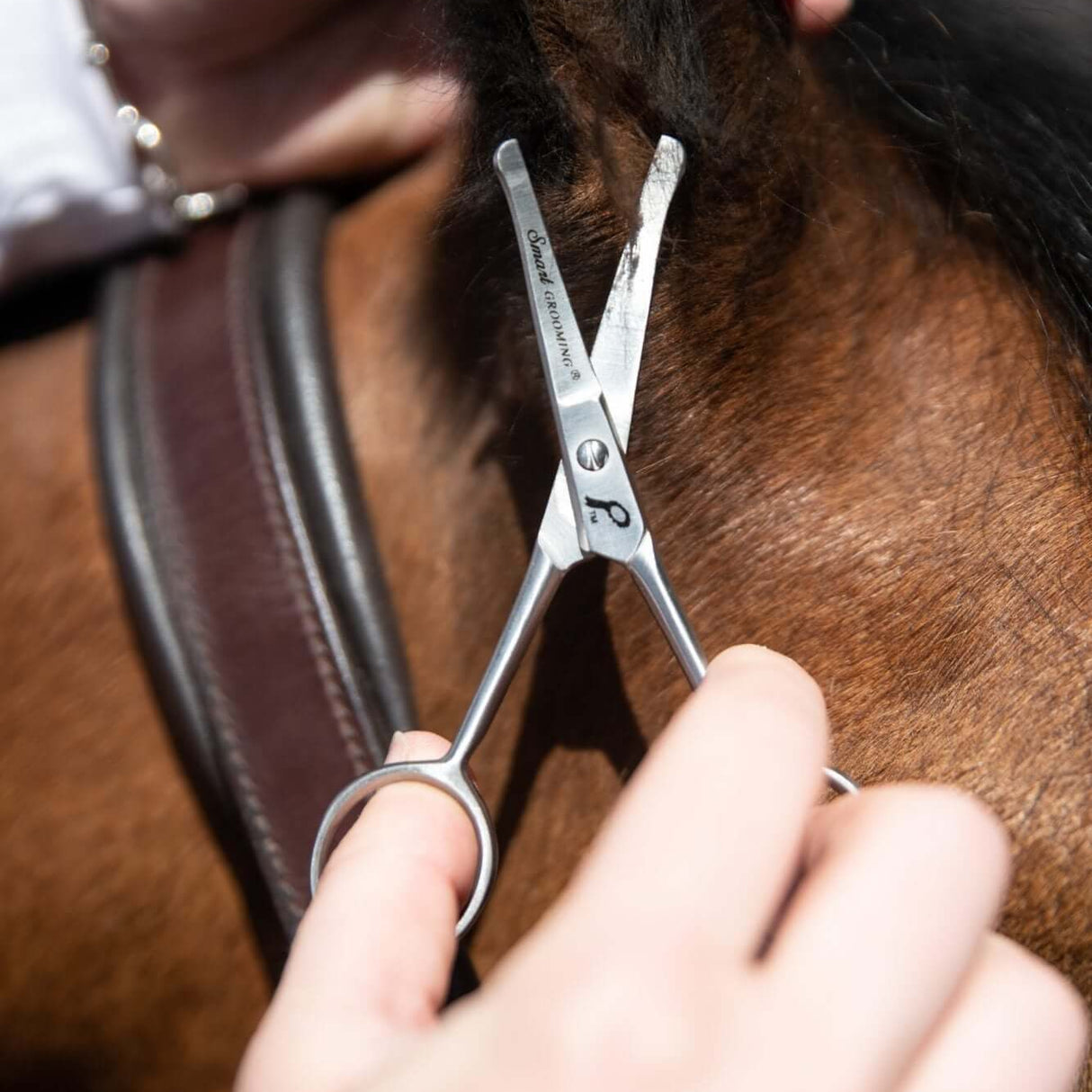 Smart Grooming 4.5"/11cm Curved Safety Scissors