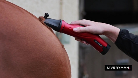 Liveryman Phoenix Re-chargeable Clipper