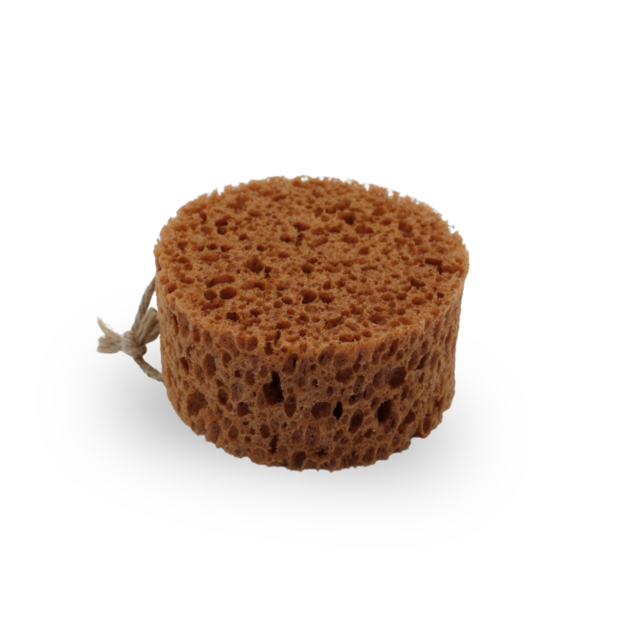 Borstiq Sponge