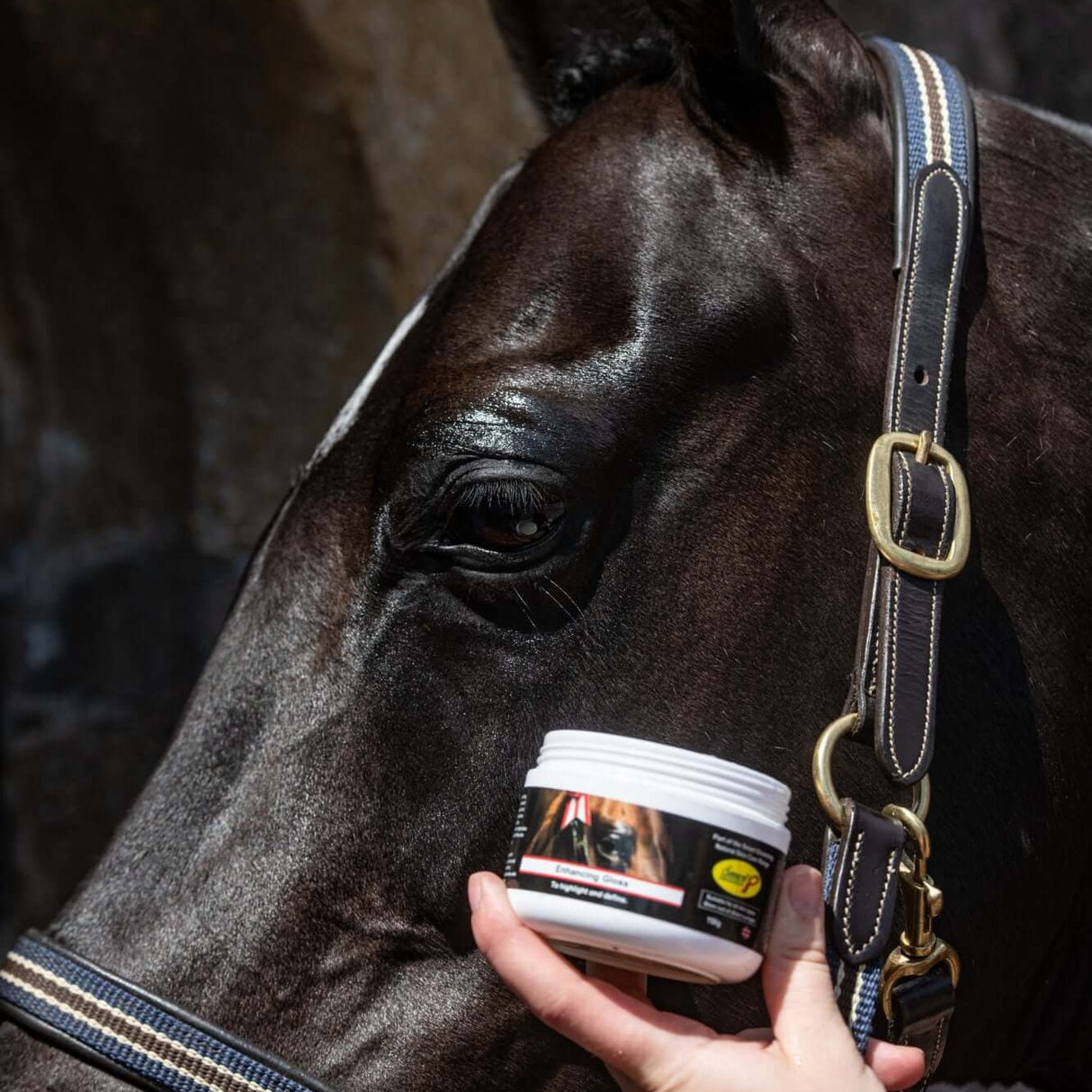 Smart Grooming Verstärkender Glanz