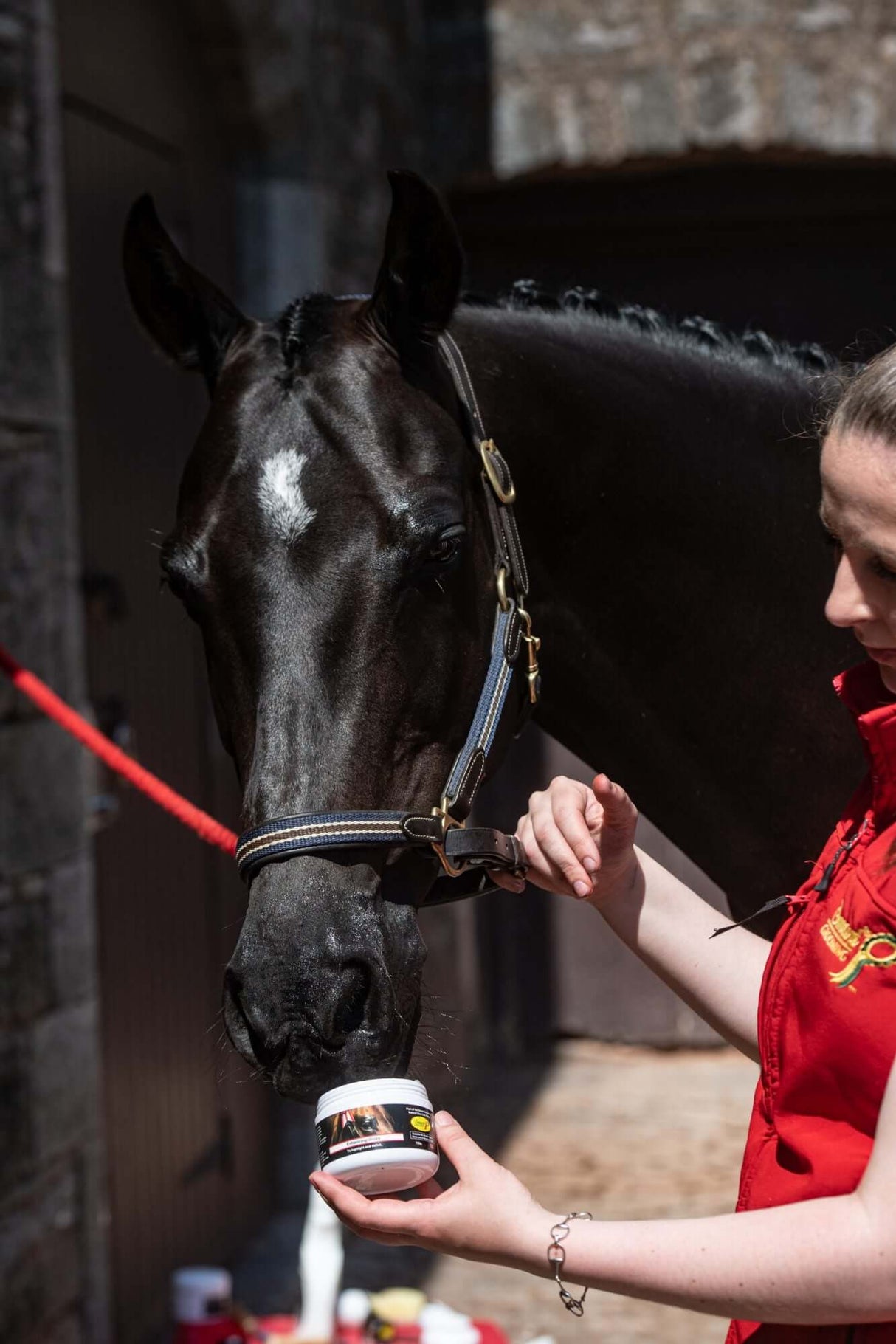 Smart Grooming Verstärkender Glanz