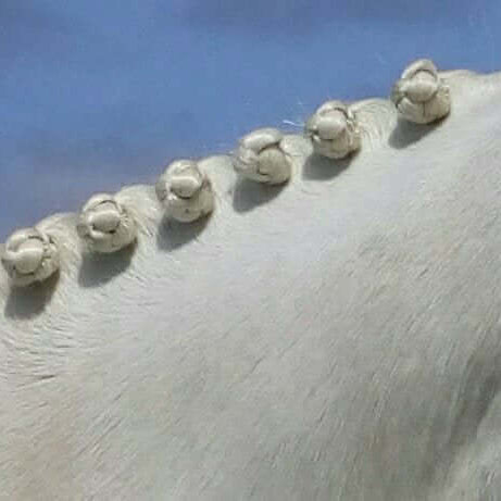 Smart Grooming Perfect Plaits Spray