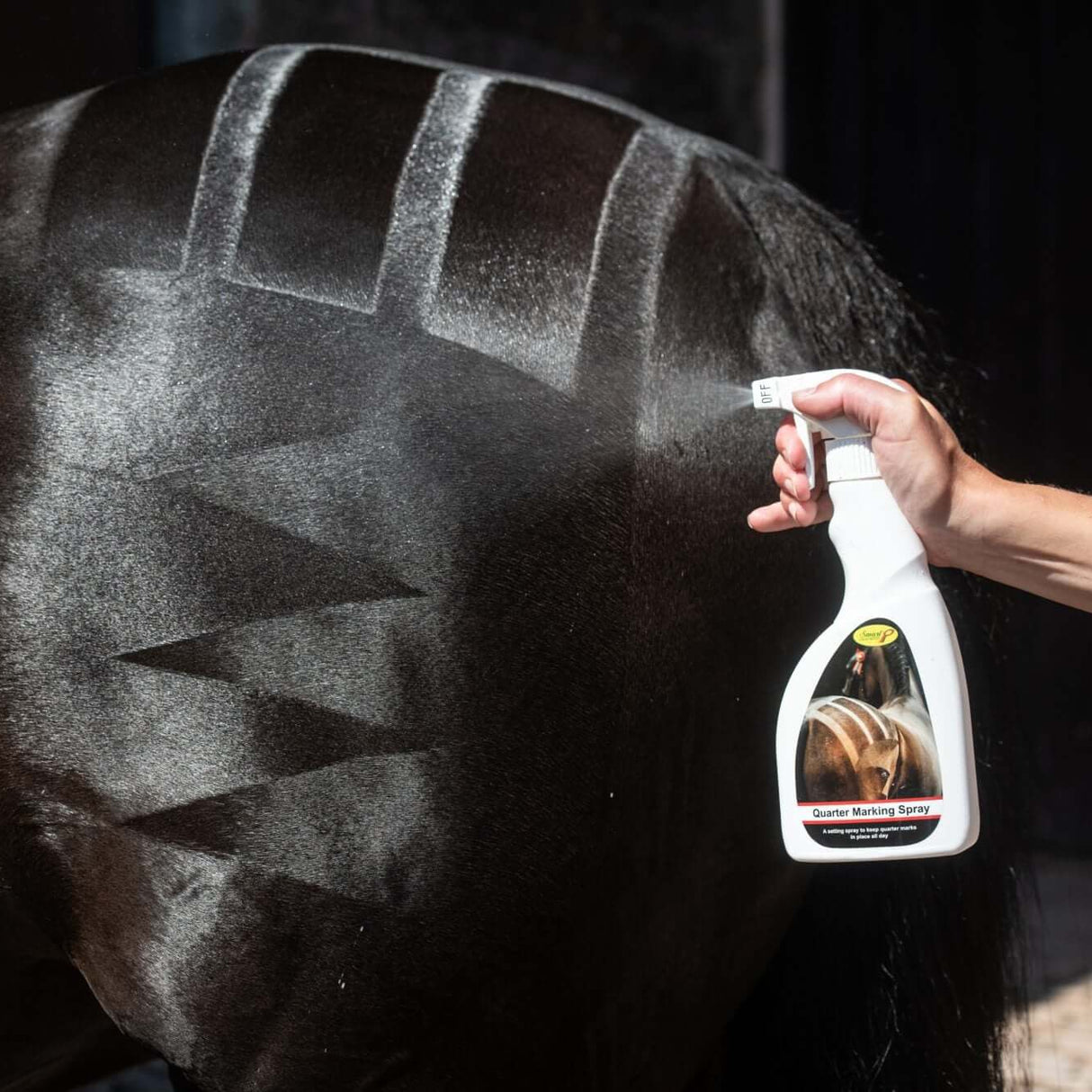 Smart Grooming Viertelmarkierungsspray