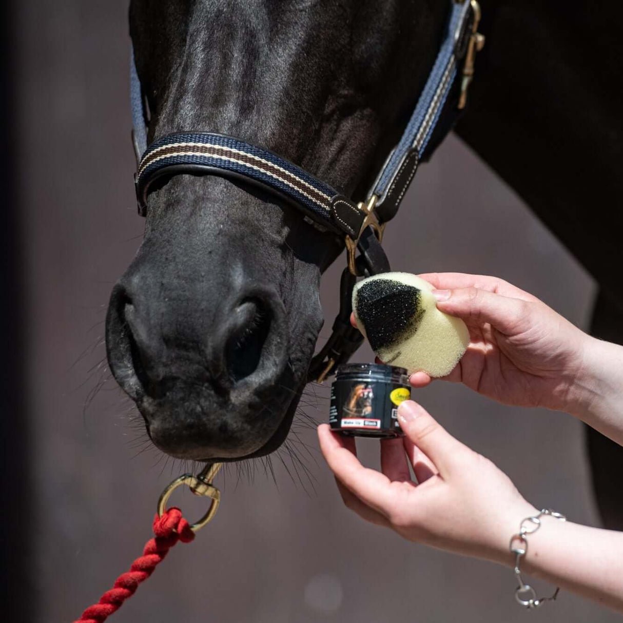 Maquillage de toilettage intelligent
