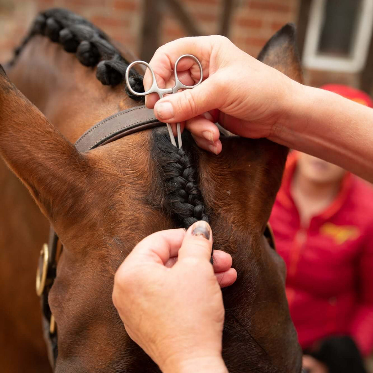 Smart Grooming Zopfzange