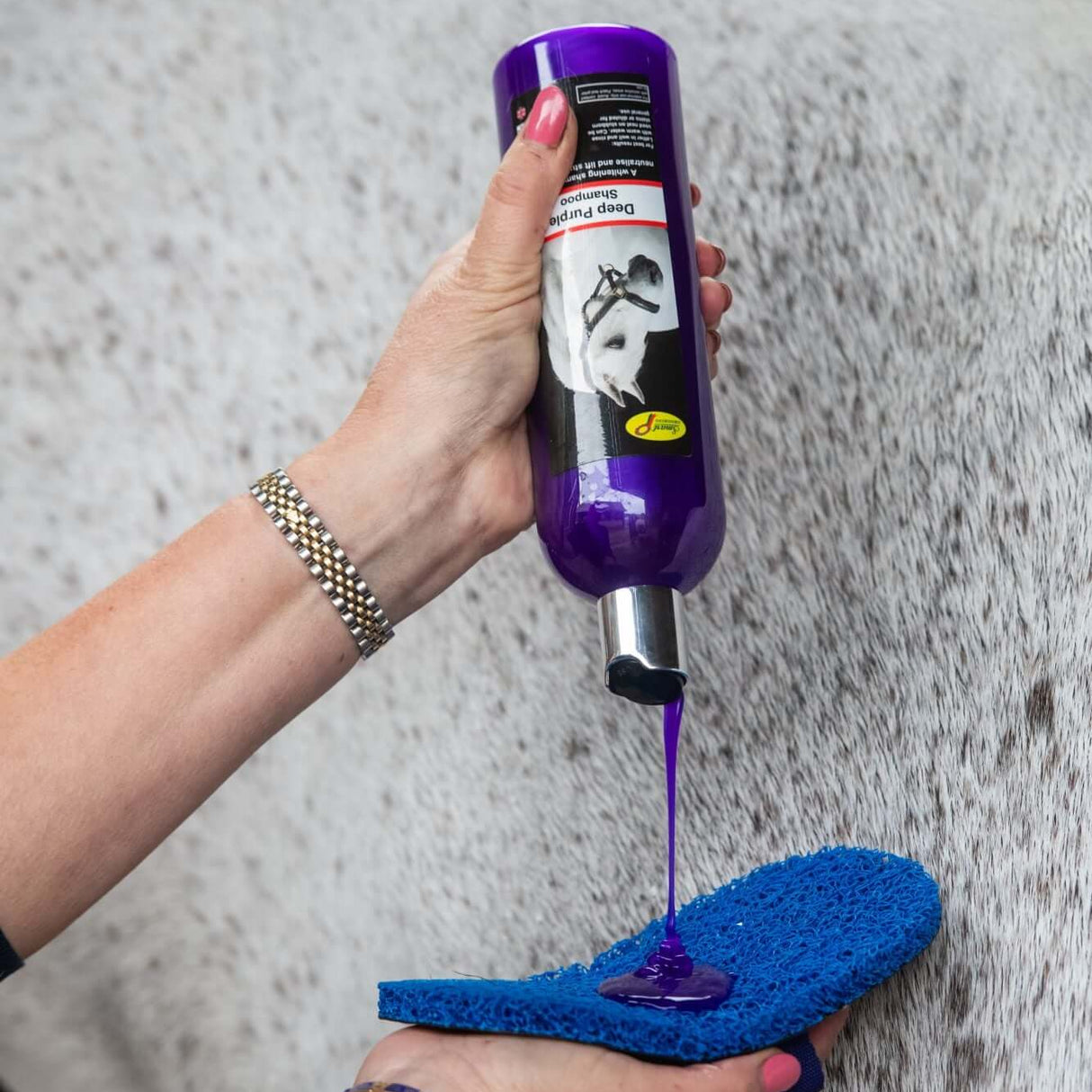 Smart Grooming Deep Purple Shampoo
