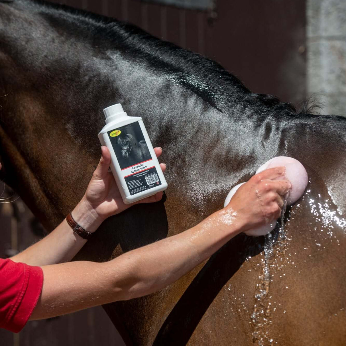 Smart Grooming Lavender Splosh Wash