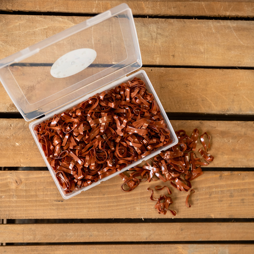 Smart Grooming - Super Stretchy Silicone Plaiting Bands