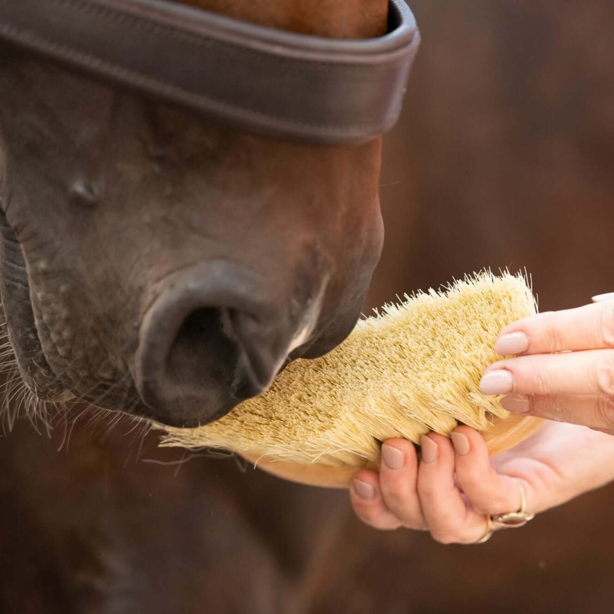 Borstiq Banana Mex Bürste