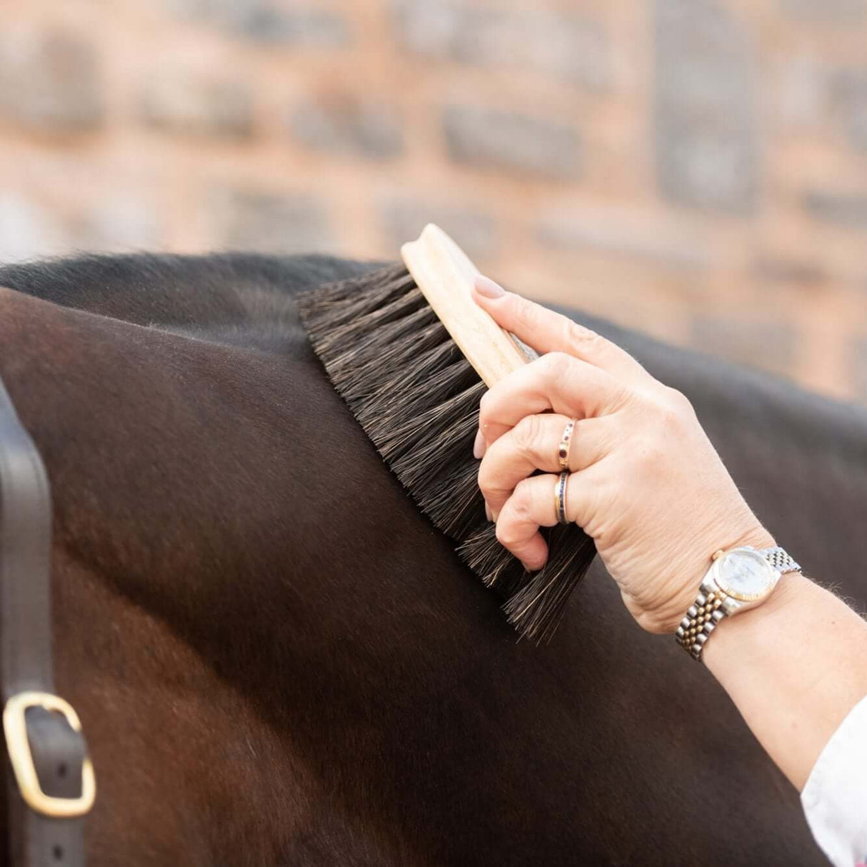 Borstiq Banane Arenga