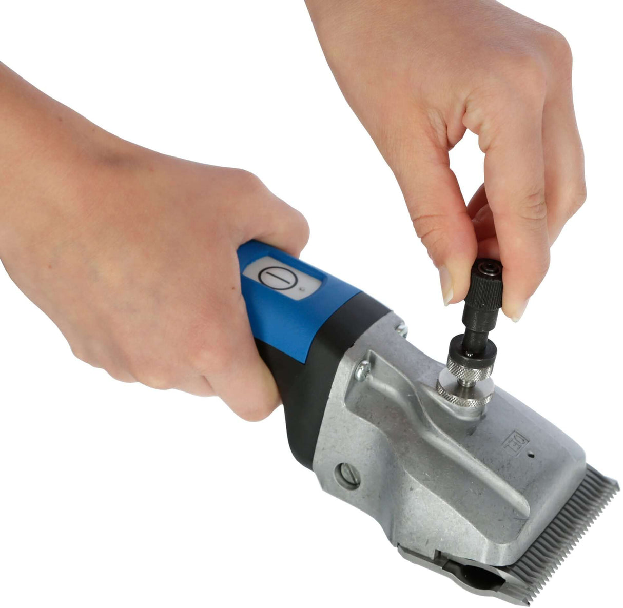 Tondeuse à chevaux Aesculap Bonum