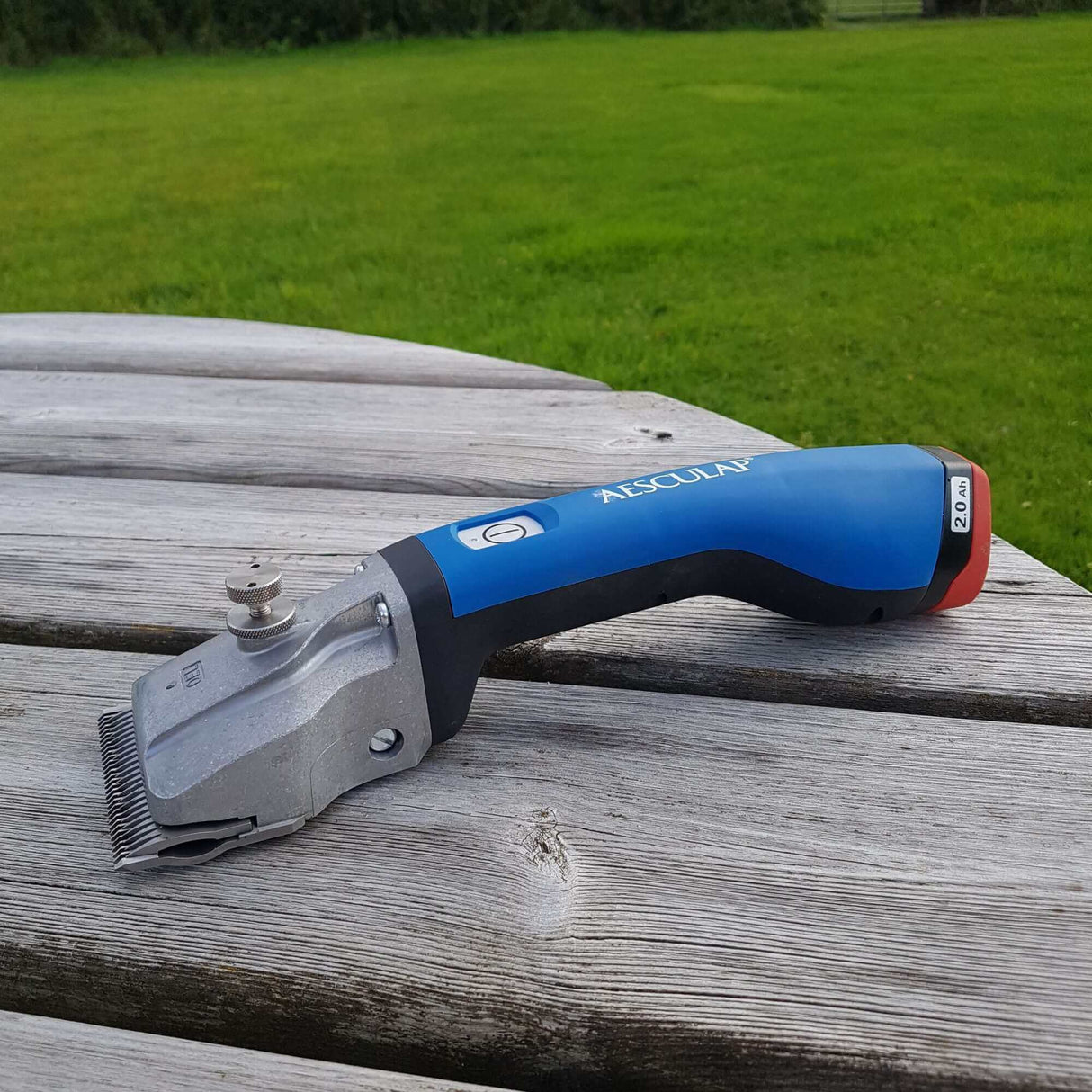 Tondeuse à chevaux Aesculap Bonum