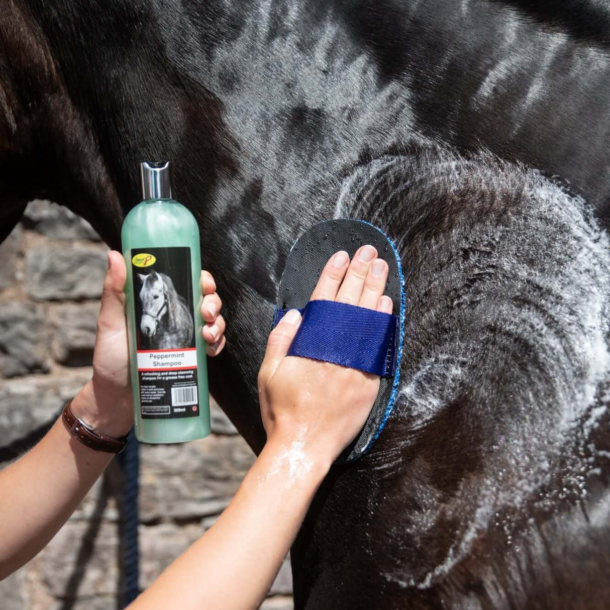 Smart Grooming Peppermint Shampoo
