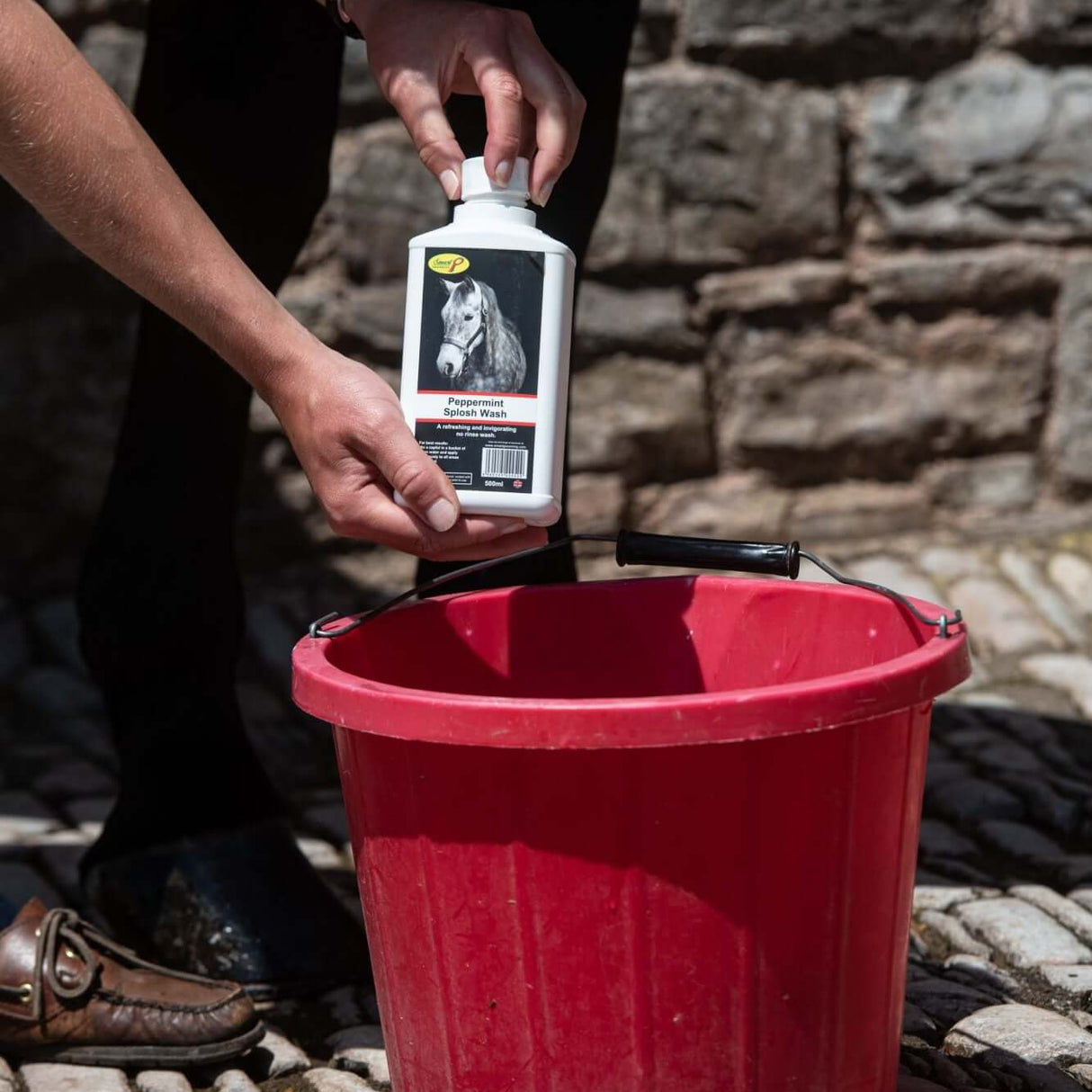 Smart Grooming Peppermint Splosh Wash