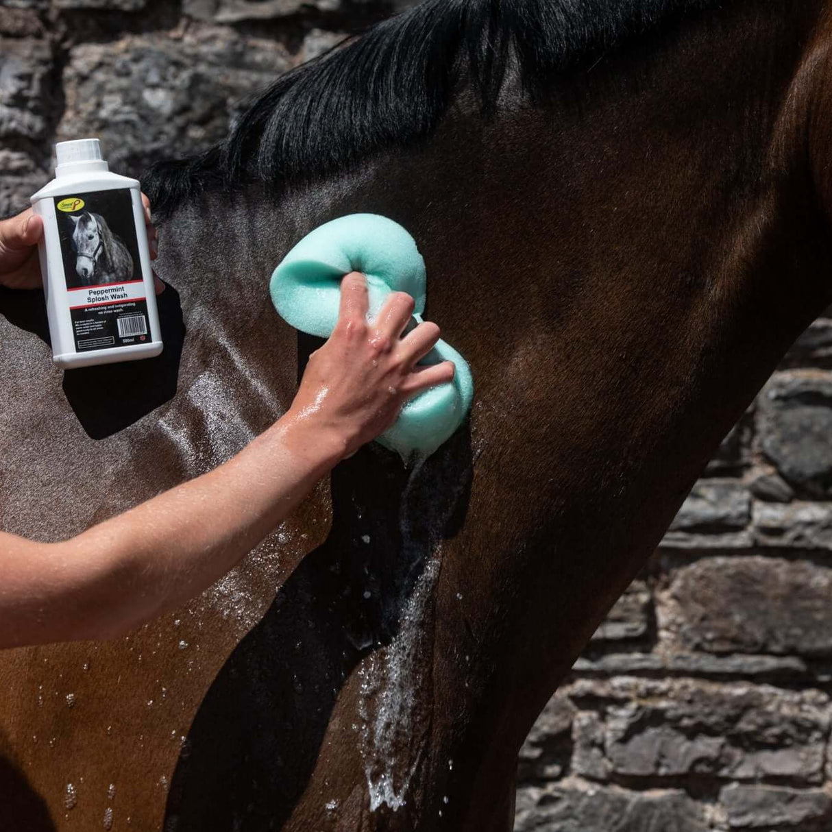 Smart Grooming Peppermint Splosh Wash