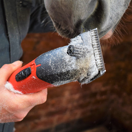 Lister Fusion Clipper