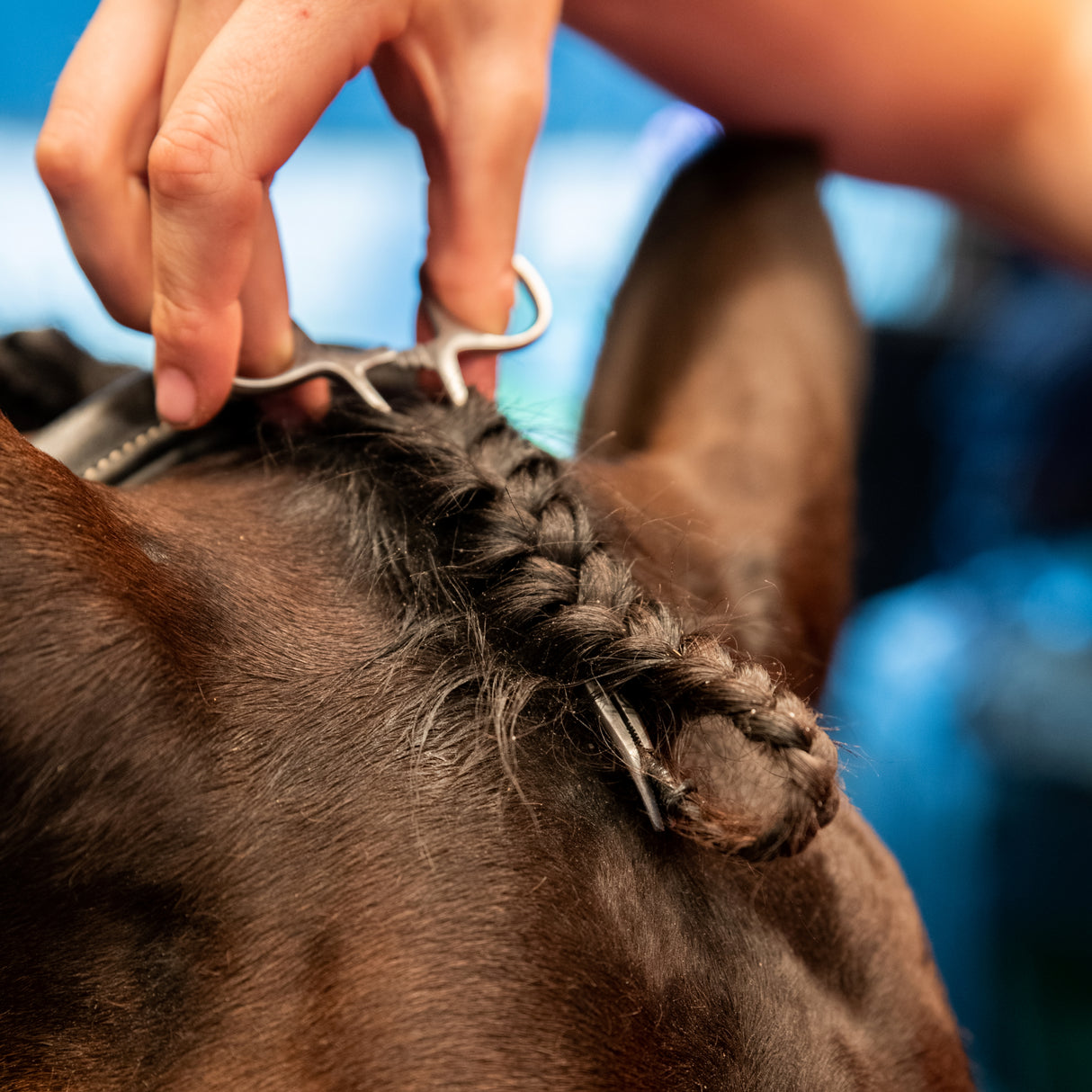 Smart Grooming Zopfzange
