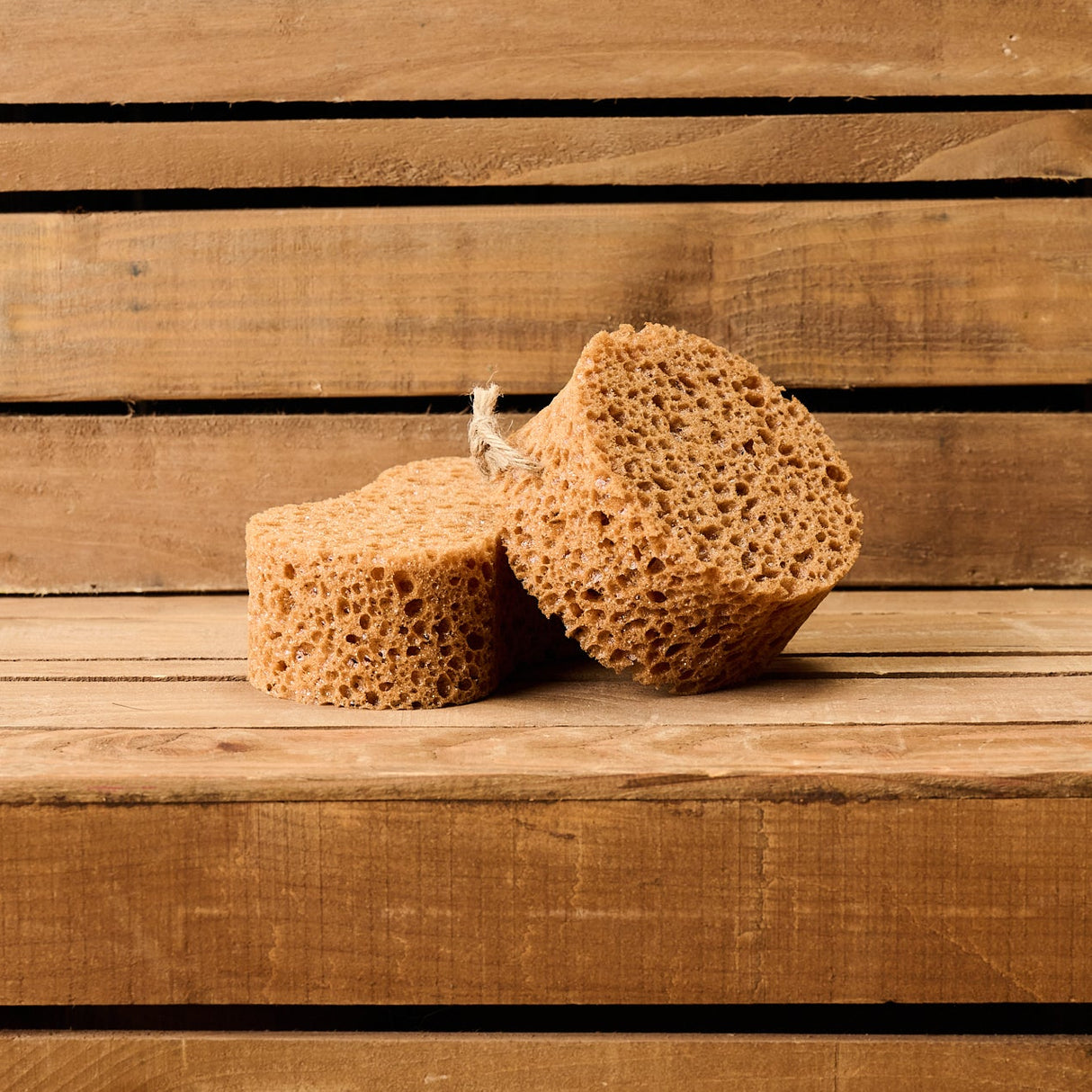 Borstiq Sponge