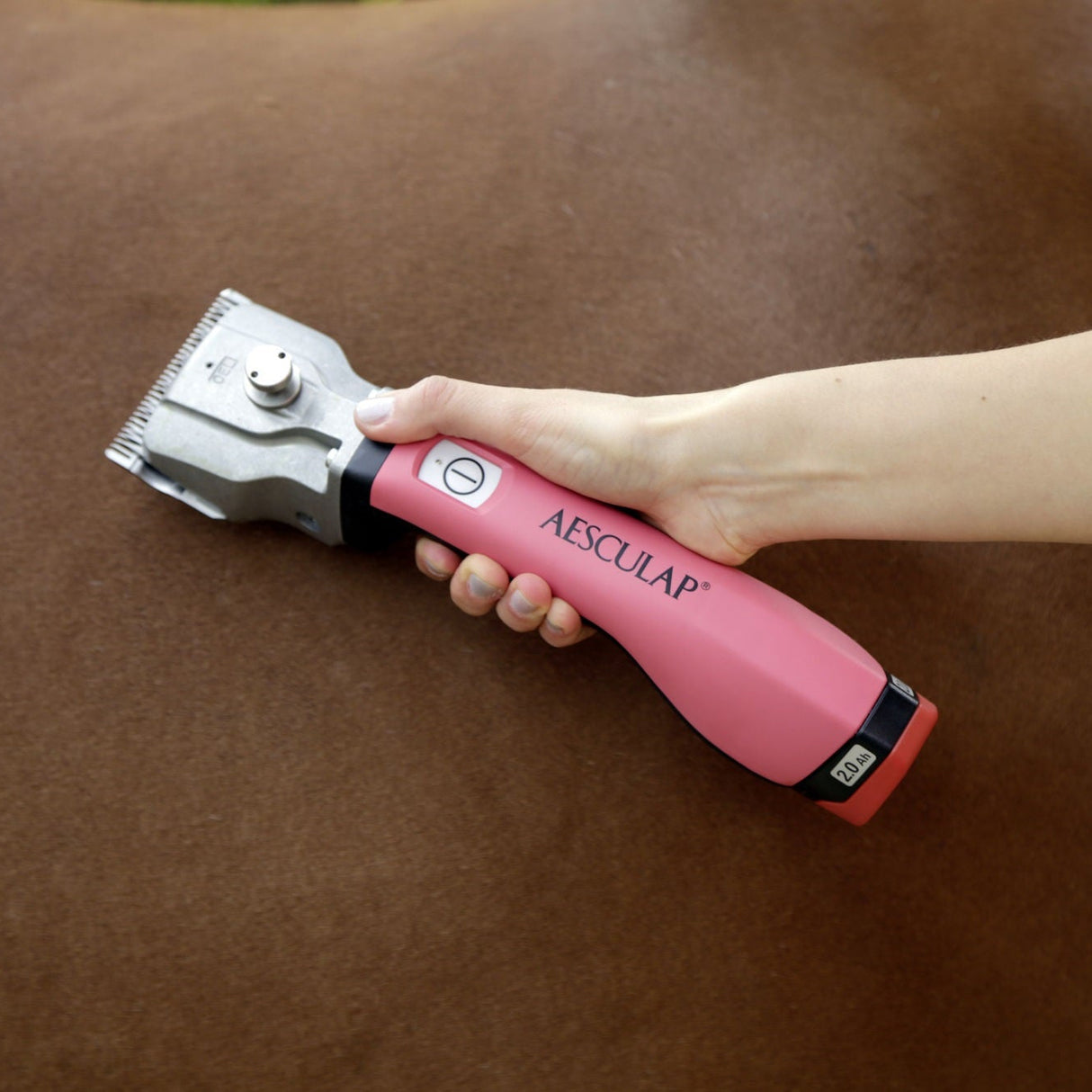 Tondeuse à chevaux Aesculap Bonum