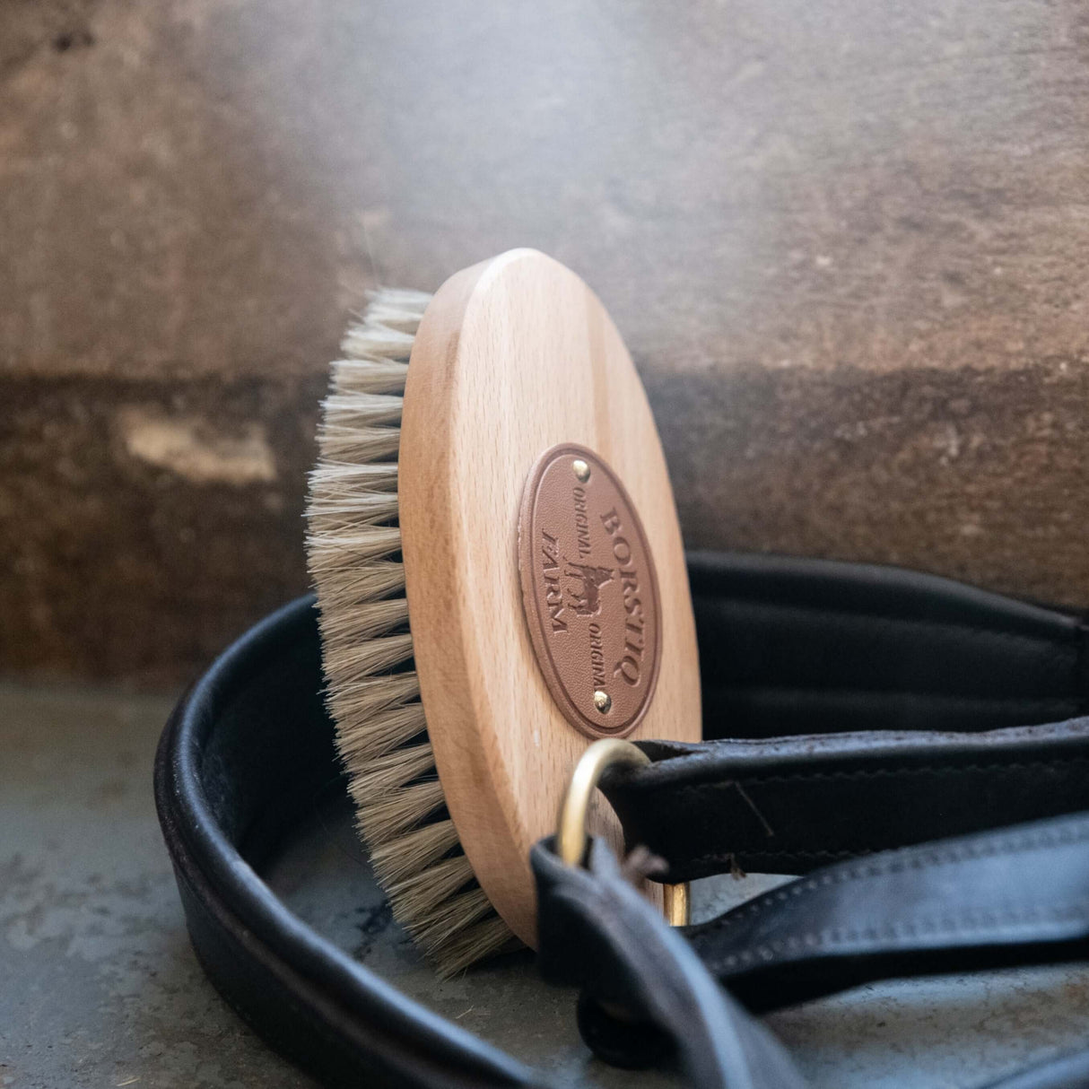 Borstiq Natural Body Brushes