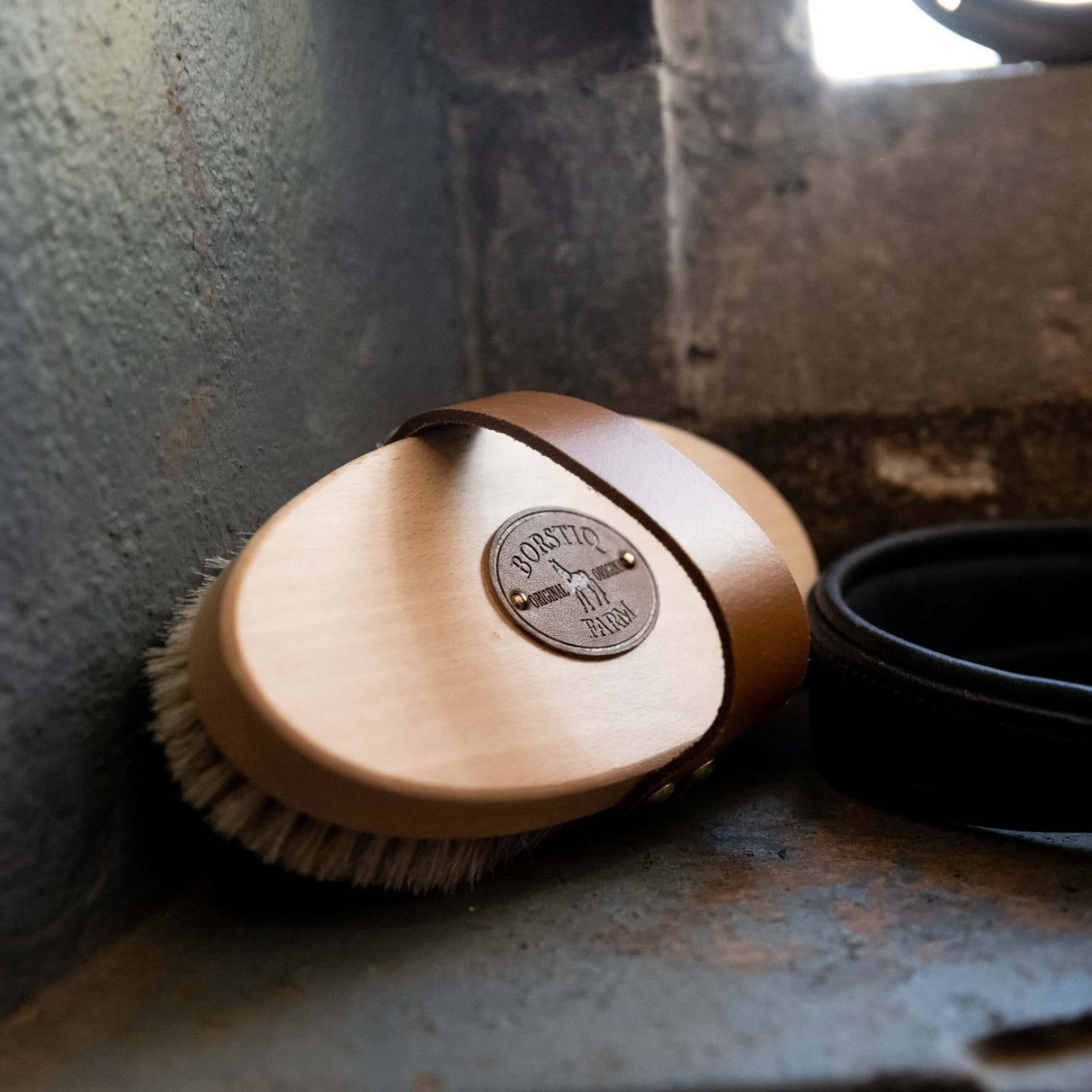 Borstiq Natural Body Brushes