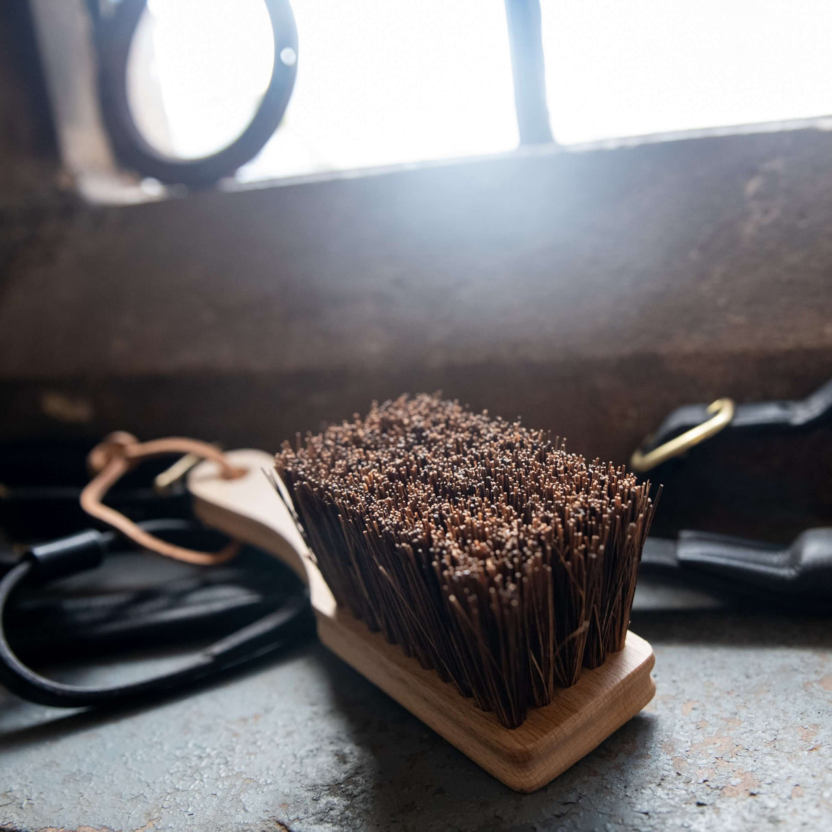Borstiq Hoof/Bucket Scrub Brush