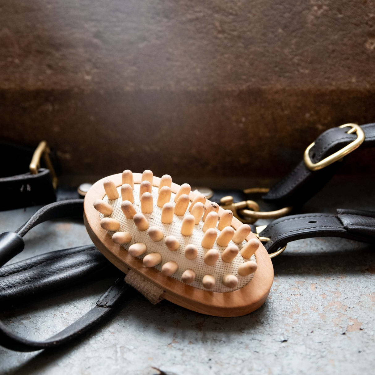 Borstiq Equine Massage Brush