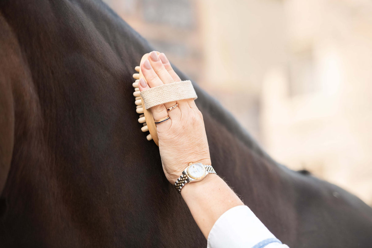 Borstiq Equine Massage Brush