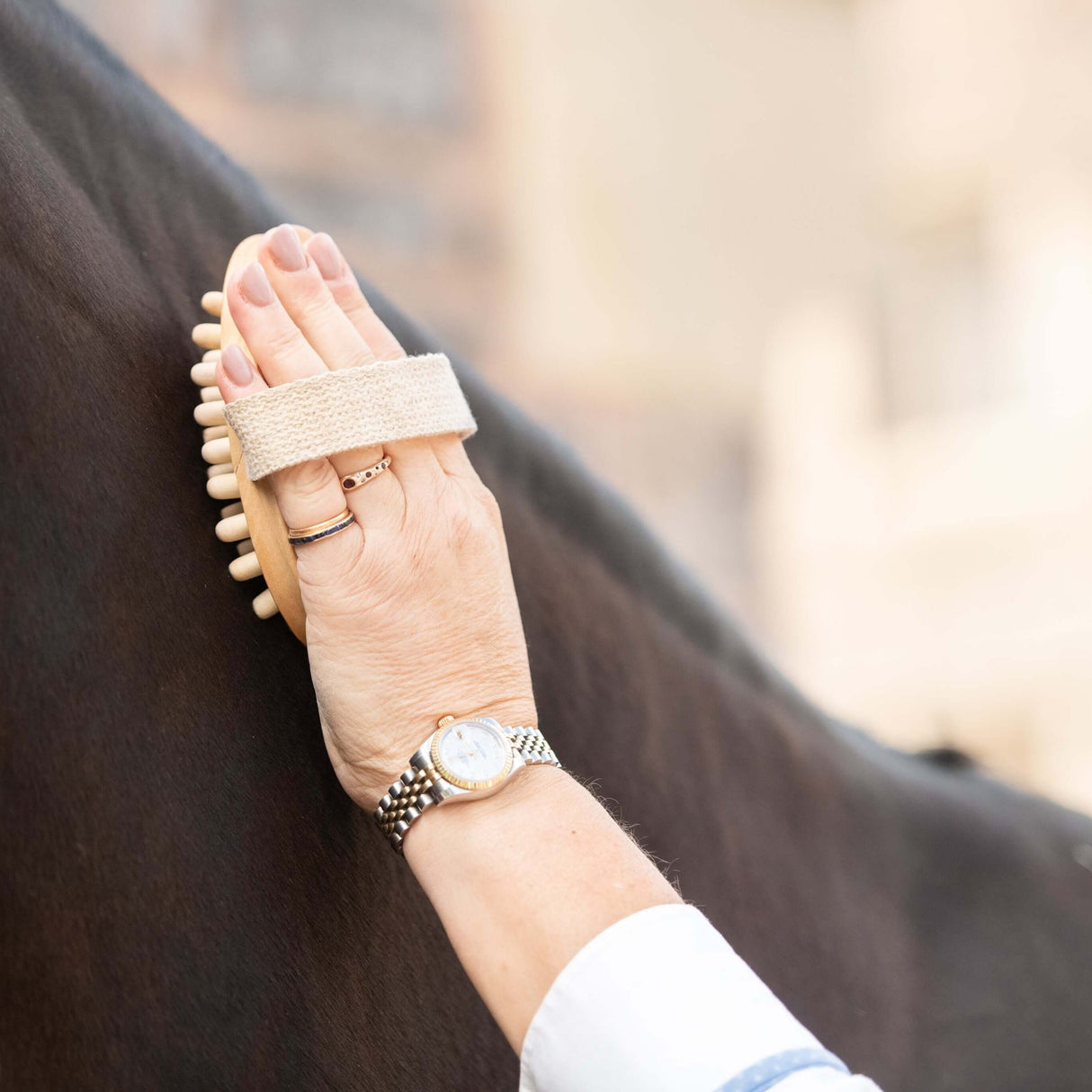 Borstiq Equine Massage Brush