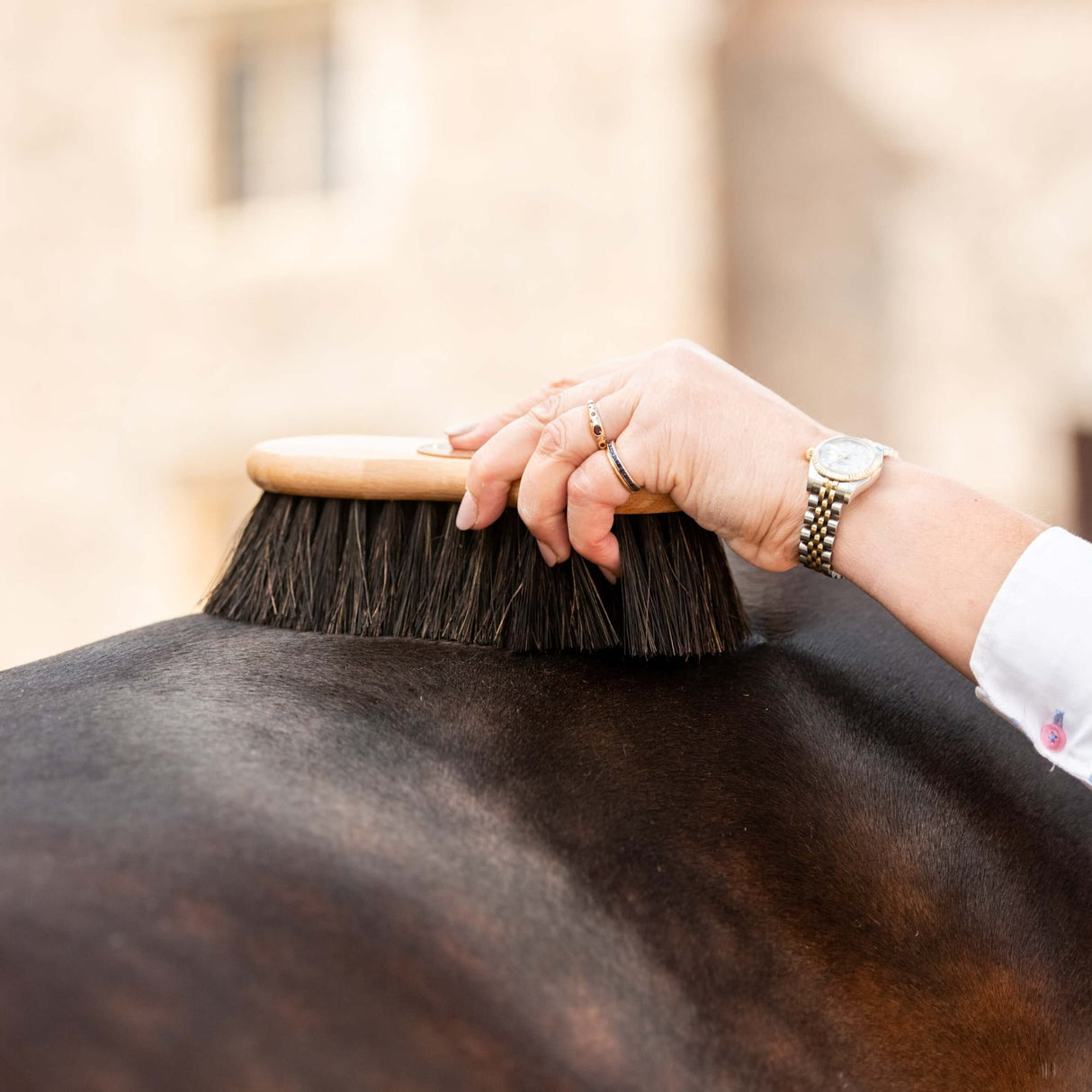 Borstiq Shaped Arenga Horse Brush